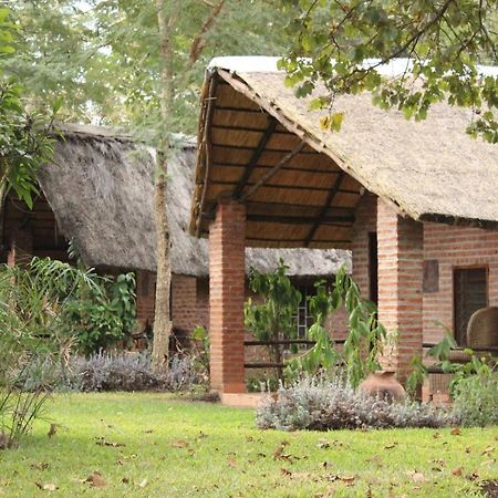 Barefoot Lodge And Safaris - Malawi リロングウェ エクステリア 写真