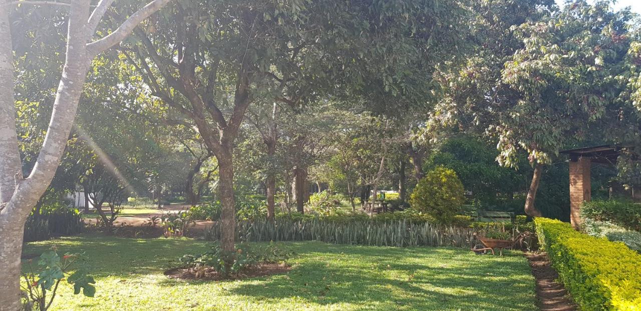 Barefoot Lodge And Safaris - Malawi リロングウェ エクステリア 写真