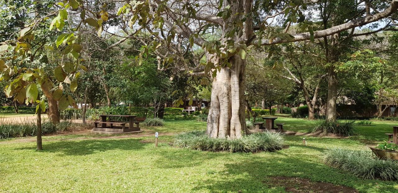 Barefoot Lodge And Safaris - Malawi リロングウェ エクステリア 写真
